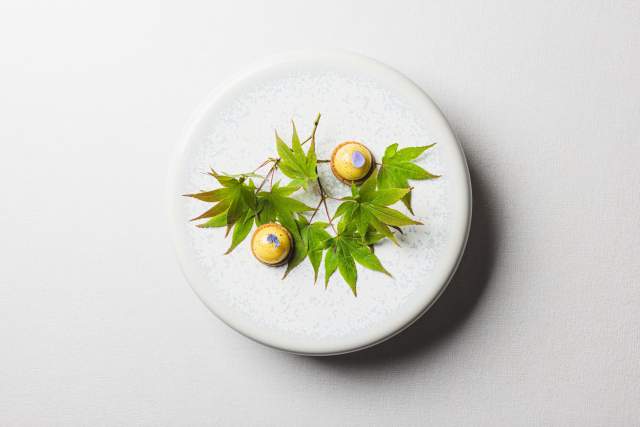 dish
